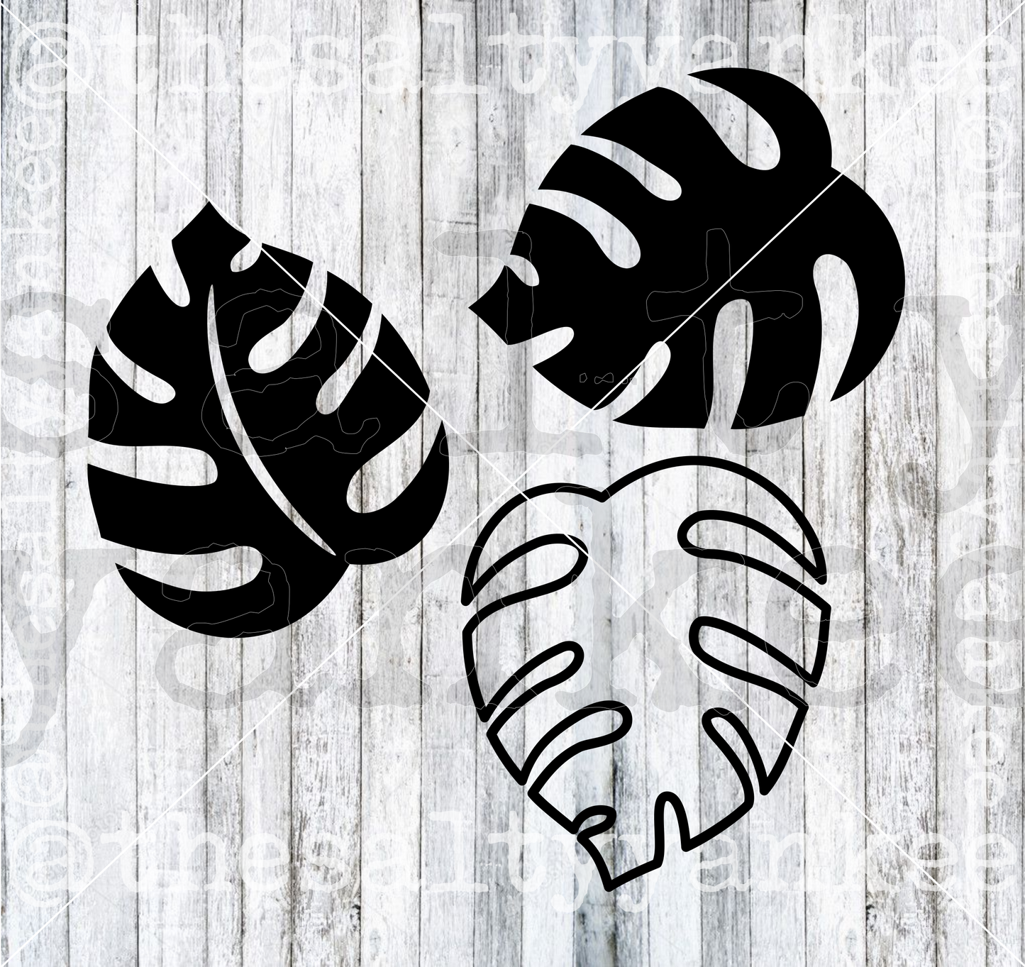 Monstera Leaf Leaves SVG and PNG File Download